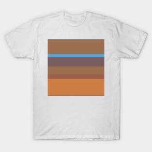 A brilliant stew of Faded Blue, Dirt, Dark Taupe, Redwood and Peru stripes. T-Shirt